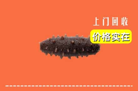 徐州鼓楼区回收海参