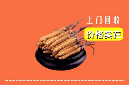 徐州鼓楼区回收冬虫夏草