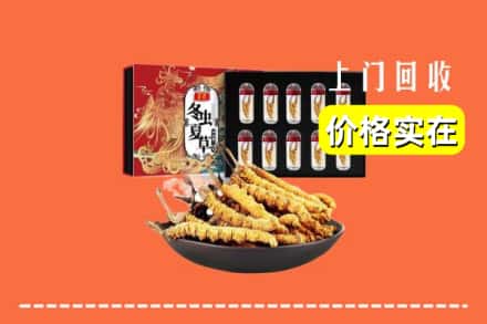 徐州鼓楼区回收虫草