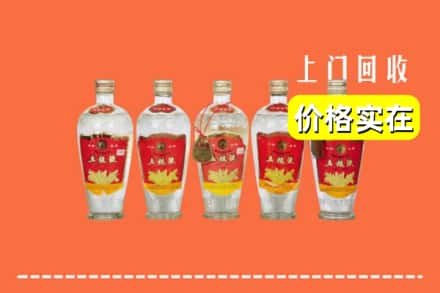 徐州鼓楼区回收老五粮液